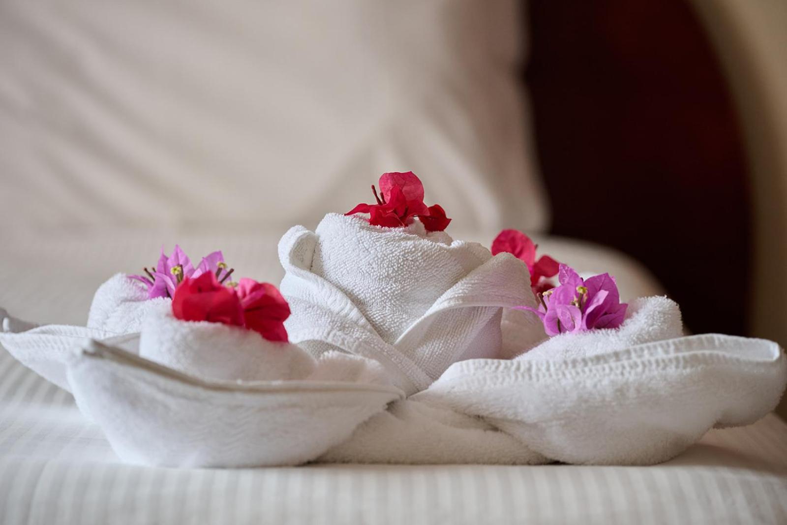 Inn & Art Madeira Канису Экстерьер фото